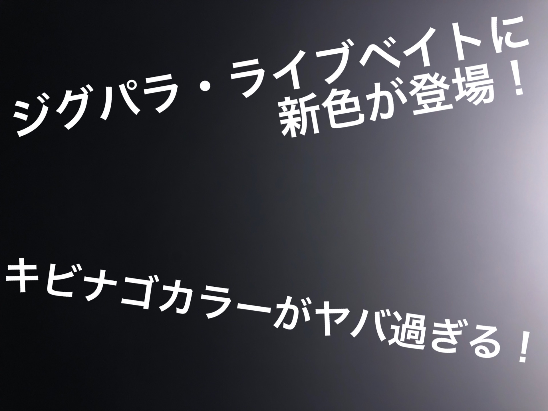 ジグパラ ライブベイトカラーに新色登場 キビナゴカラーがヤバすぎる 釣りバカキノピーが行く